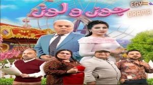 جوز ولوز
