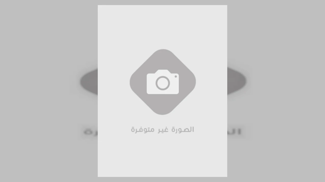  كرتون الأبطال الصغار 